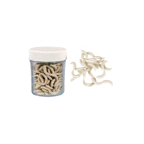 ИЗКУСТВЕНА ПРИМАМКА MAGGOT WHITE ROBAK